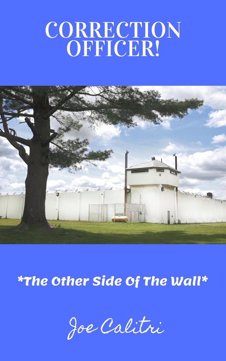 CORRECTION OFFICER:  The Other Side Of The Wall