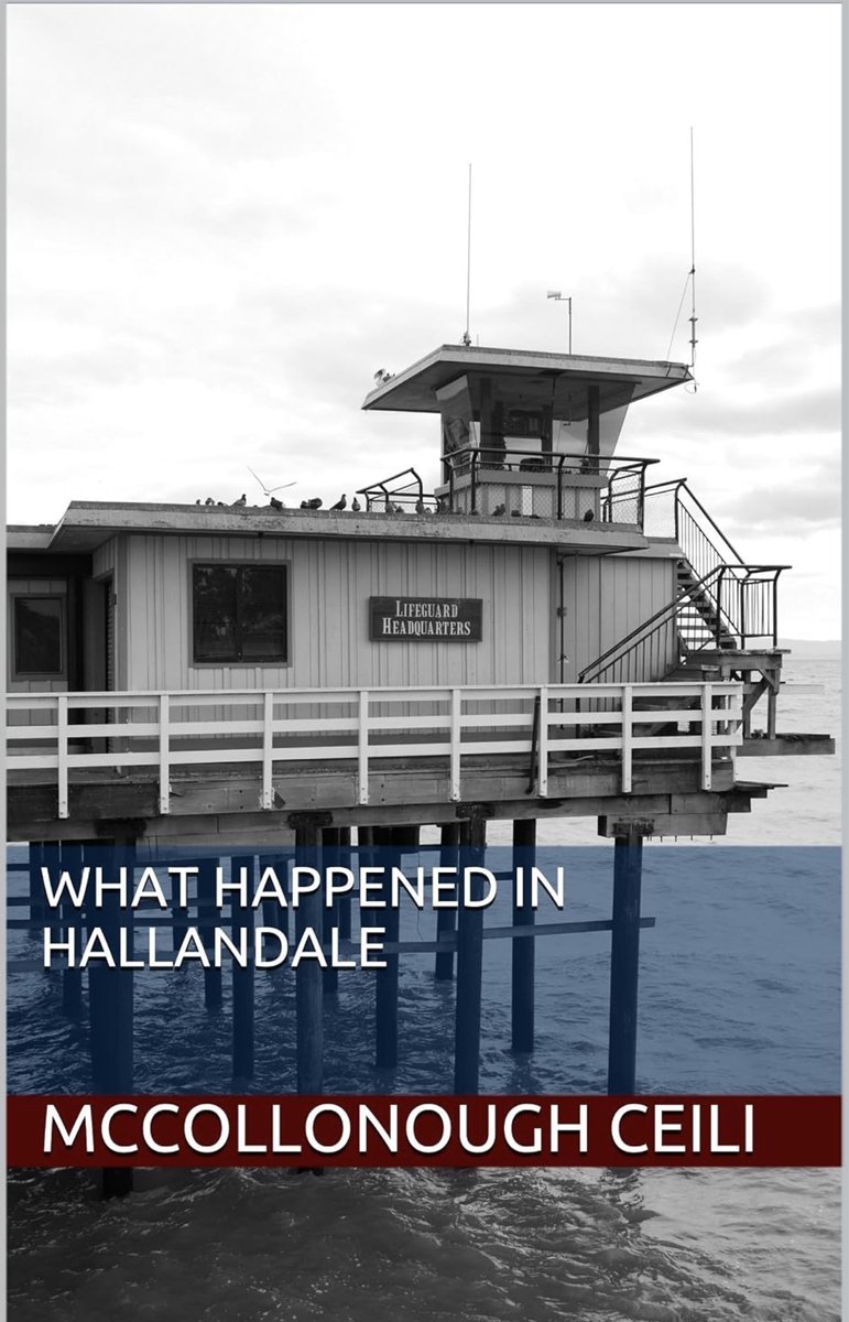 What Happened In Hallandale
