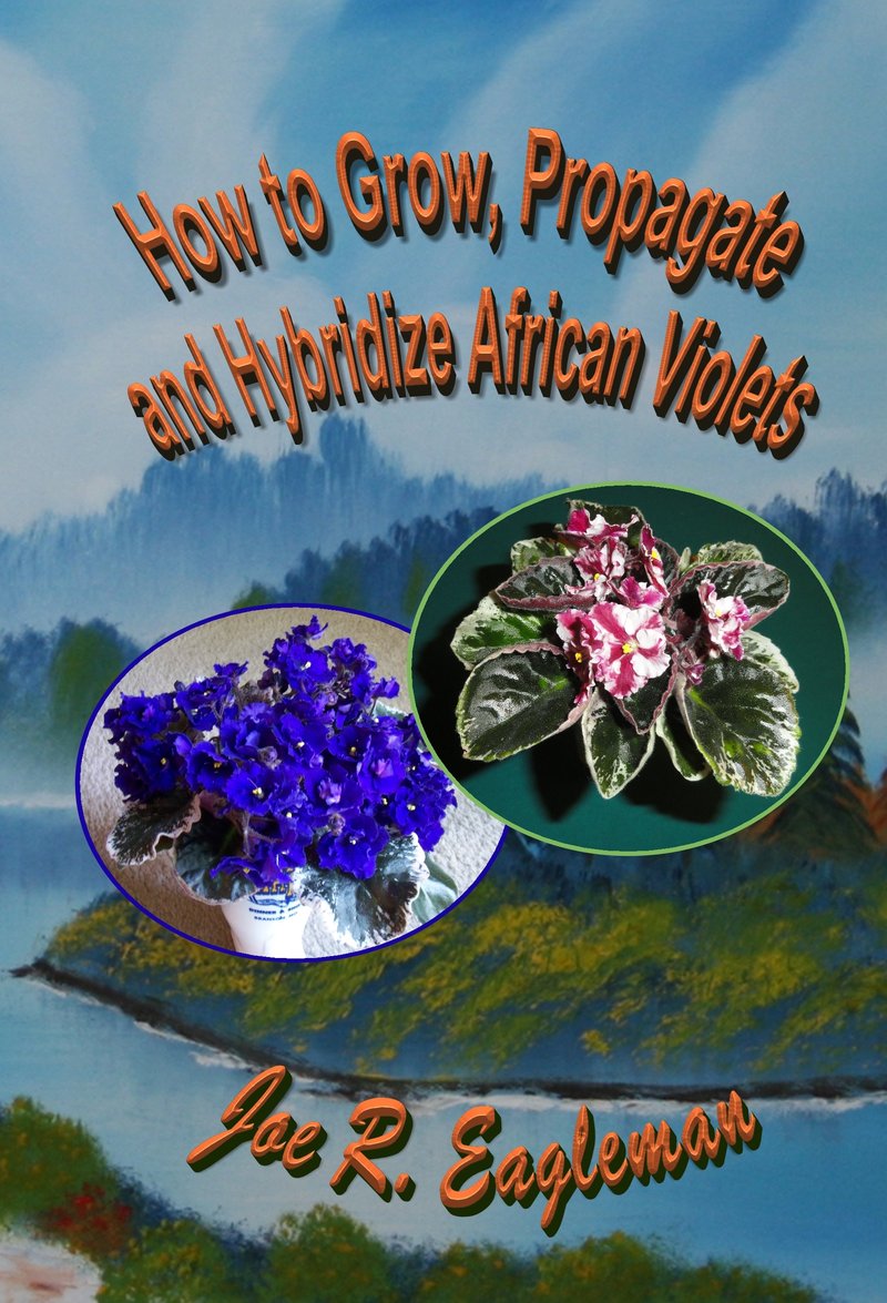How to Grow, Propagate, and Hybridize African Violets